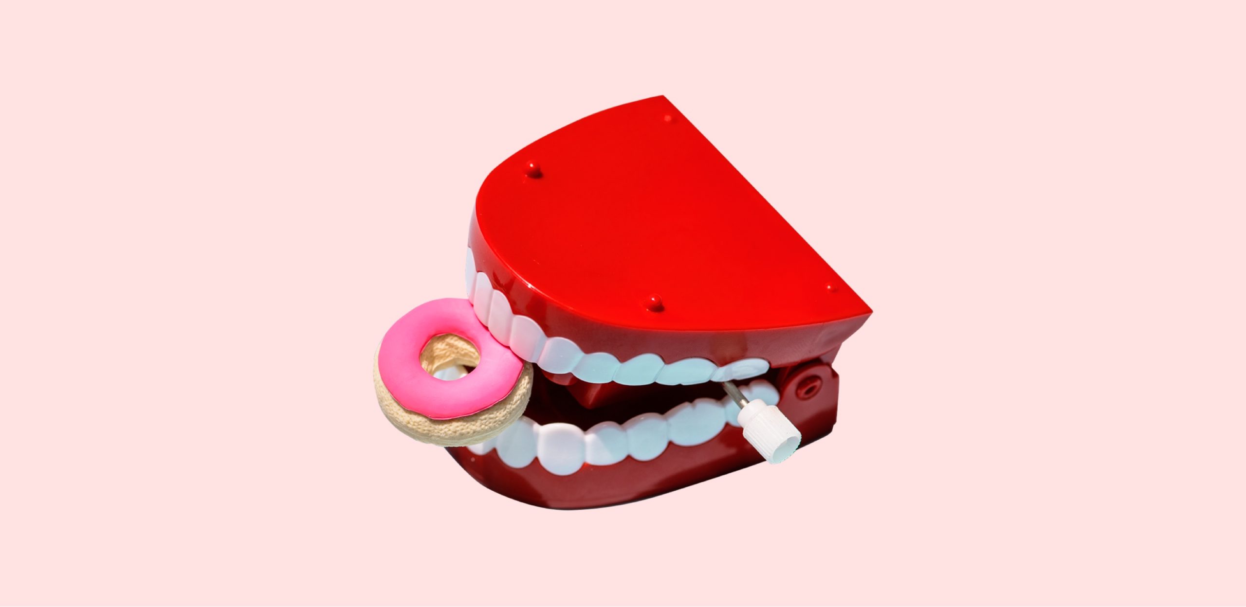 jaw with toy teeth biting into a toy donut