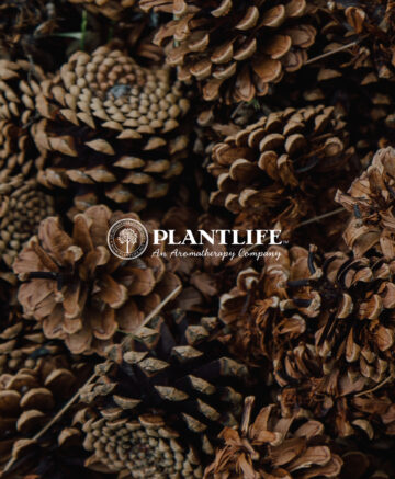 Plantlife