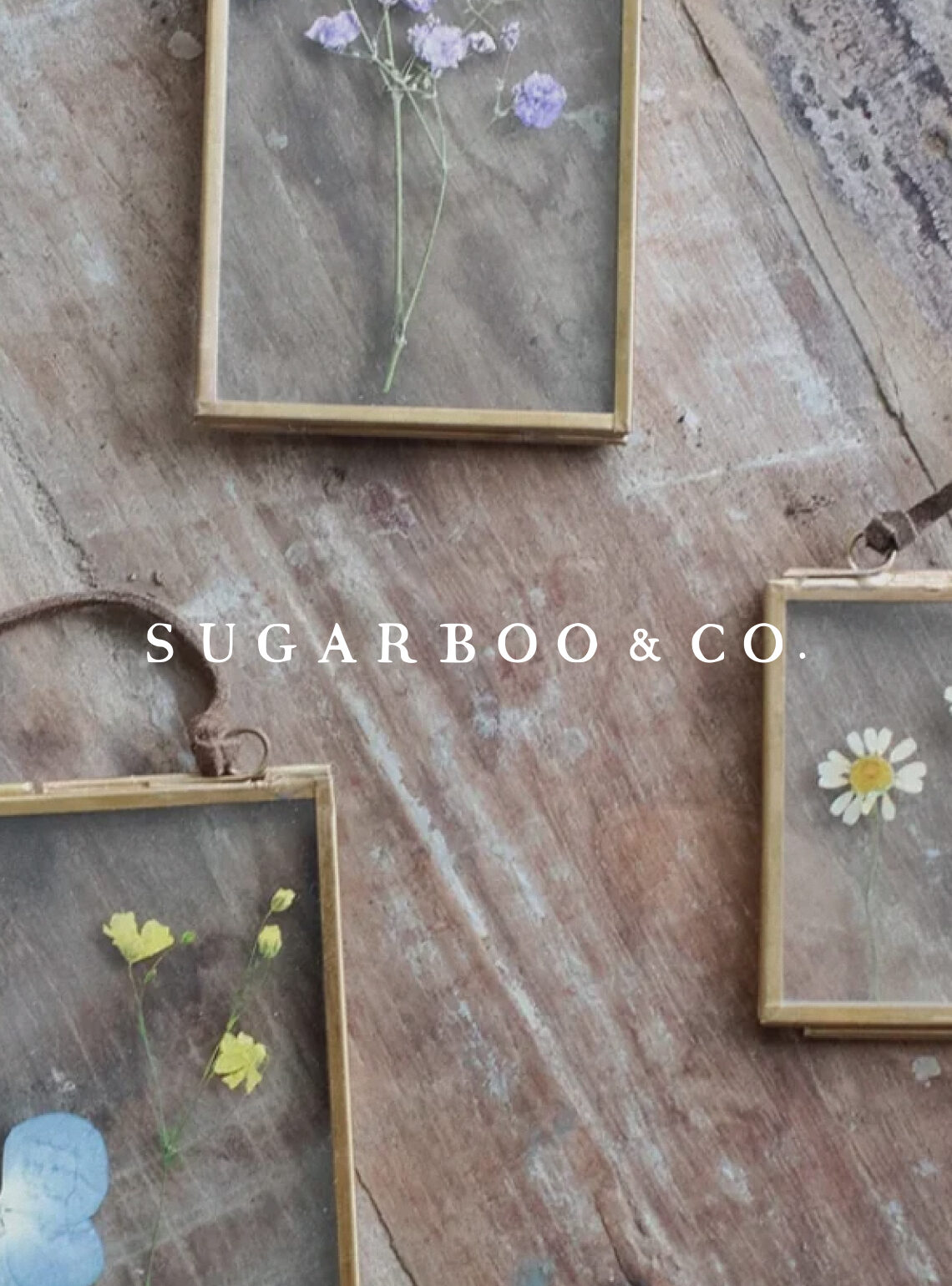 Sugarboo & Co.