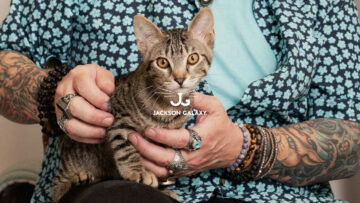 Jackson Galaxy
