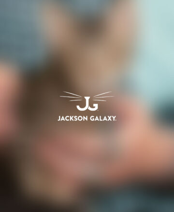 Jackson Galaxy
