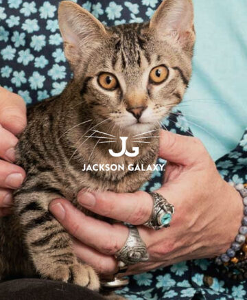 Jackson Galaxy