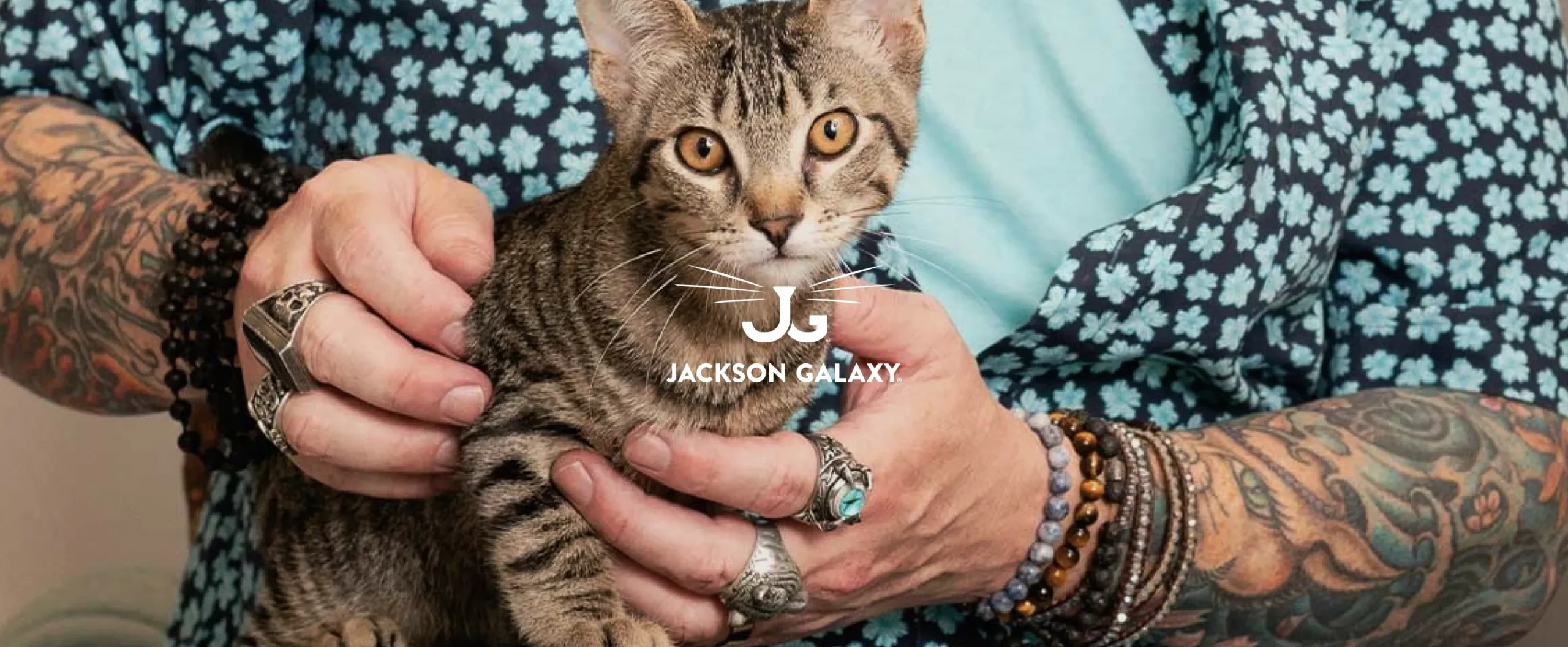 Jackson Galaxy