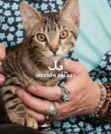 Jackson Galaxy