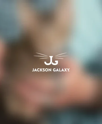 Jackson Galaxy