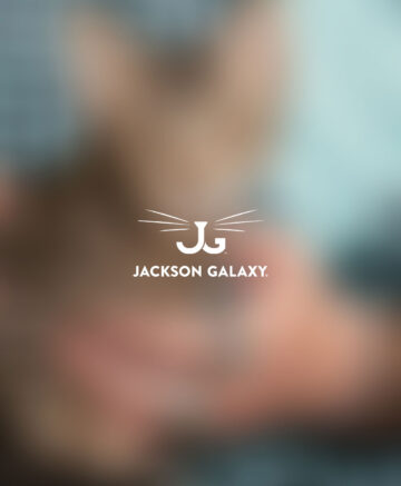 Jackson Galaxy