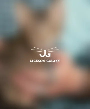 Jackson Galaxy