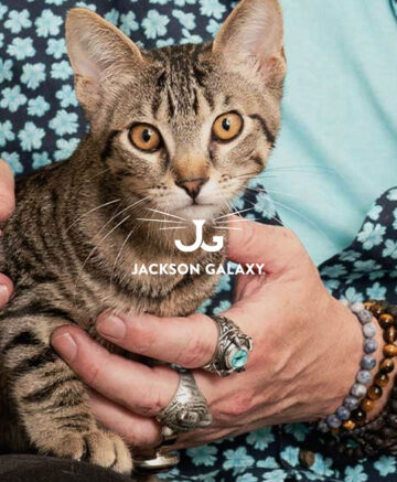 Jackson Galaxy