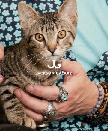 Jackson Galaxy