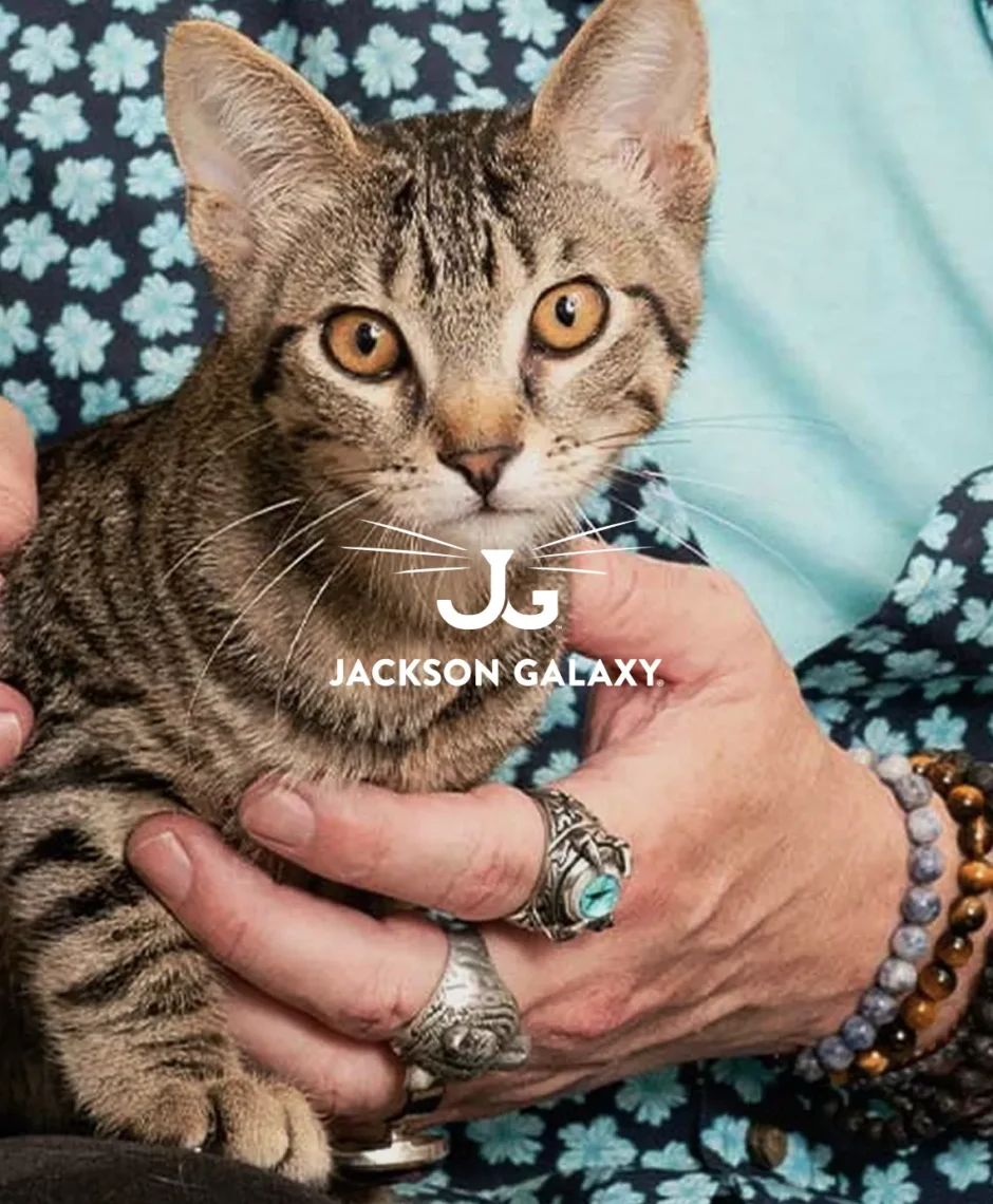 Jackson Galaxy